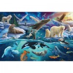 Puzzle   Tiere in der Arktis