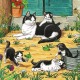 3 Puzzles - Süße Katzen und Hunde