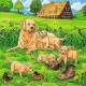 3 Puzzles - Süße Katzen und Hunde