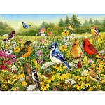 Puzzle  Ravensburger-00336 Vögel