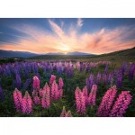 Puzzle  Ravensburger-00688 Nature Edition - Lupinen