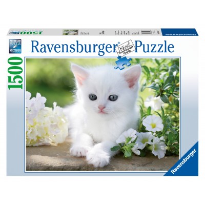 Puzzle Ravensburger-00706 Weißes Kätzchen