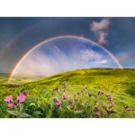 Puzzle  Ravensburger-00800 Ein Spektakulärer Regenbogen