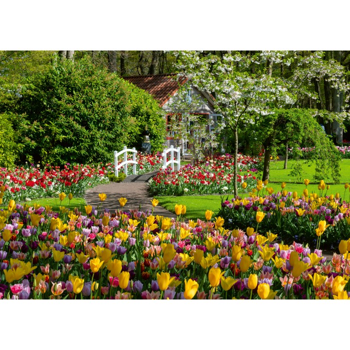Puzzle  Ravensburger-00851 Keukenhof Gärten, Niederlande