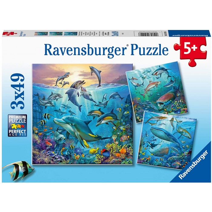 3 Puzzles - Tierwelt des Ozeans