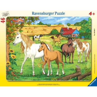 Puzzle Ravensburger-06646 Pferde auf der Koppel