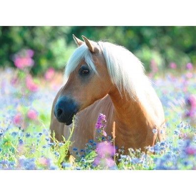 Puzzle Ravensburger-13294 XXL Teile - Horse in the Field