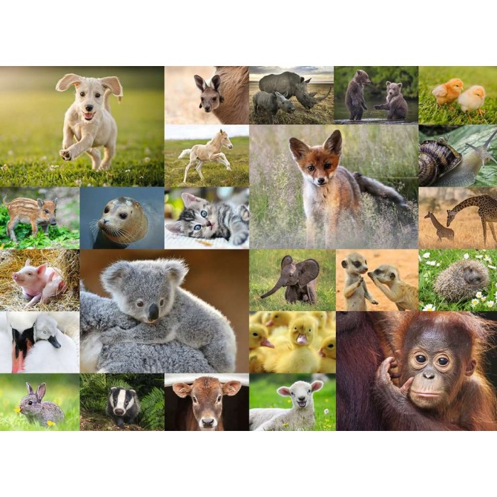 Puzzle Ravensburger-13353 XXL Teile - Bébés animaux