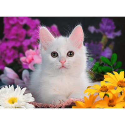 Puzzle Ravensburger-13358 XXL Teile - White Kitten