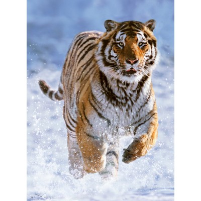 Puzzle Ravensburger-14475 Tiger im Schnee 
