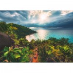 Puzzle  Ravensburger-16910 Beautiful Islands - Hawaii