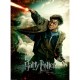 XXL Teile - Harry Potter