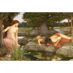 Puzzle  Dtoys-75048 Waterhouse John William: Echo und Narcissus