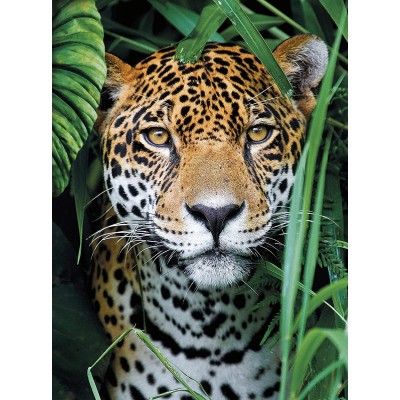 Puzzle Clementoni-35541 Jaguar in The Jungle