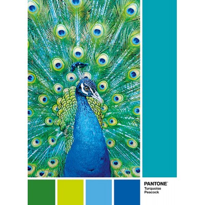 Puzzle Clementoni-39495 Pantone - Peacock Blue