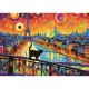 Katze In Paris