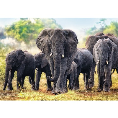 Puzzle Trefl-10442 Afrikanische Elefanten