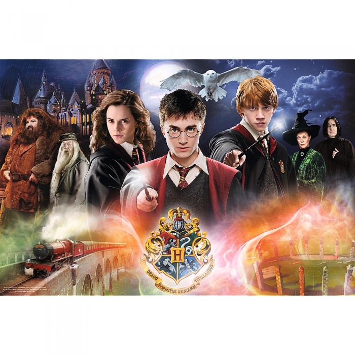 Puzzle  Trefl-23001 Harry Potter