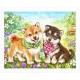 Kayomi - Shiba Puppies' First Errand