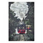   Puzzle aus Kunststoff - The Steam Train, Switzerland