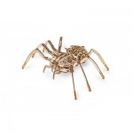   3D Holzpuzzle -  Spinne