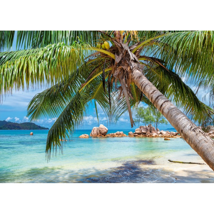 Puzzle  Alipson-Puzzle-F-50022 Tropischer Strand