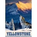 Puzzle   Yellowstone Wolf