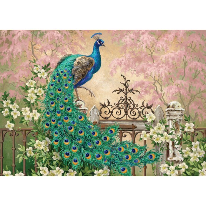 Peacock