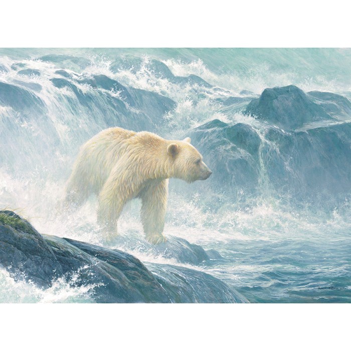 XXL Teile - Salmon Watch - Spirit Bear