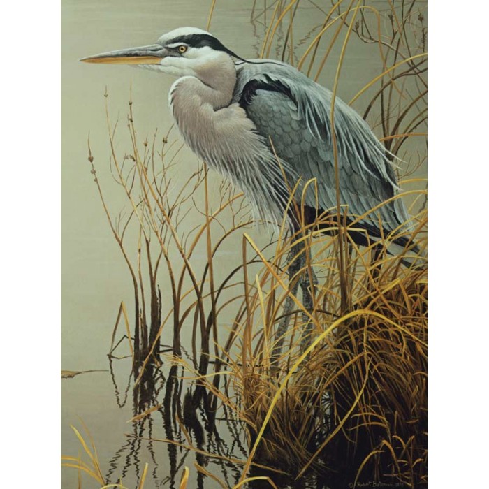 Puzzle  Cobble-Hill-45049 XXL Teile - Great Blue Heron