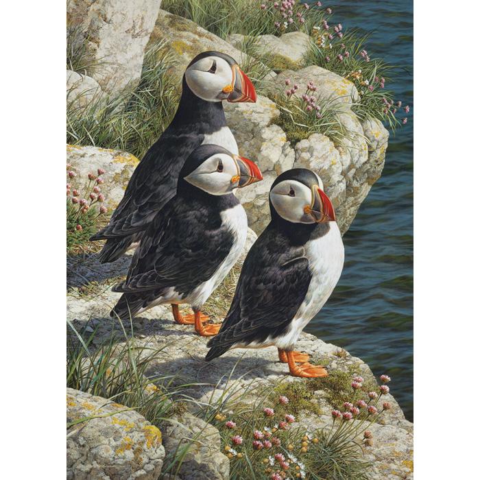 Puzzle  Cobble-Hill-45052 Fischgründe