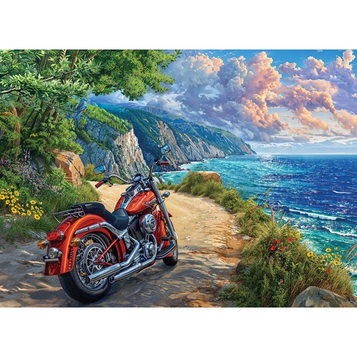 Puzzle  Cobble-Hill-45094 Angekommen