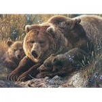 Puzzle  Cobble-Hill-54624 XXL Teile - Grizzly Family