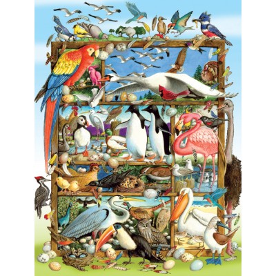 Puzzle Cobble-Hill-54639 XXL Teile - Birds of the World