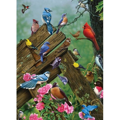 Puzzle Cobble-Hill-80086 Birds of the Forest