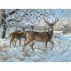 XXL Teile - Persis Clayton Weirs - Winter Deer