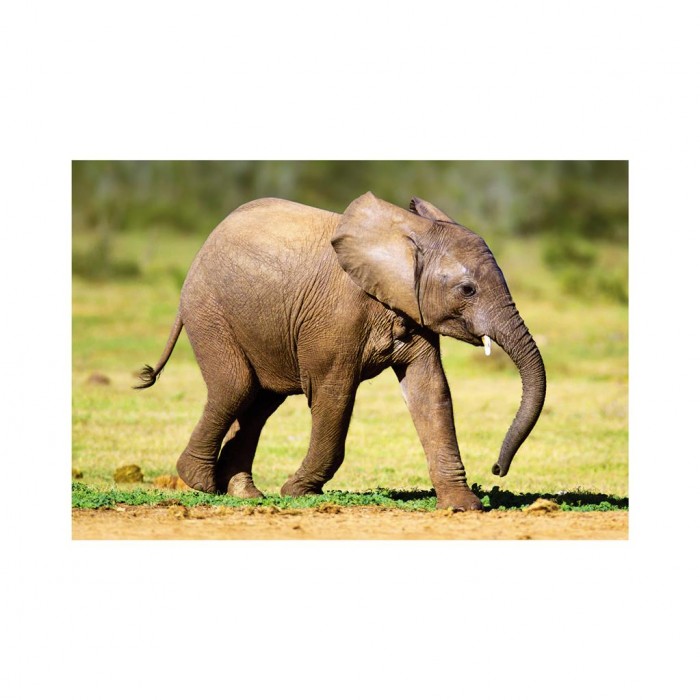  Dino-33122-Elephant Mini-puzzle Elefant