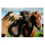 Puzzle  Dino-47226 XXL Teile - Colorful Horses