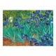 Vincent Van Gogh - Schwertlilien