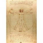 Puzzle  Enjoy-Puzzle-1557 De Vinci - The Vitruvian Man