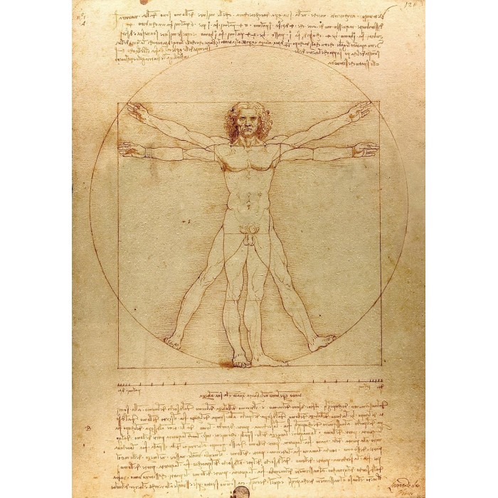 Puzzle  Enjoy-Puzzle-1557 De Vinci - The Vitruvian Man