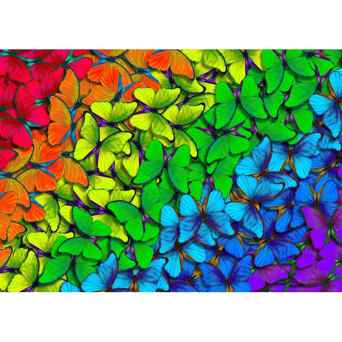 Puzzle  Enjoy-Puzzle-1961 Rainbow Butterflies