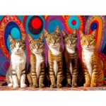 Puzzle  Enjoy-Puzzle-2131 Fünf Katzen