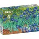 Vincent Van Gogh: Schwertlilien