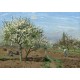 Camille Pissarro : Orchard in Bloom, Louveciennes, 1872