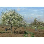 Puzzle   Camille Pissarro : Orchard in Bloom, Louveciennes, 1872