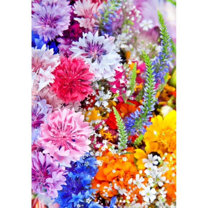 Puzzle  Grafika-F-31110 Blumen-Explosion