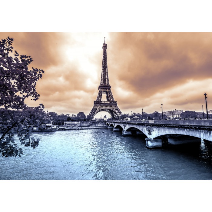 Der Eiffelturm an einem regnerischen Wintertag