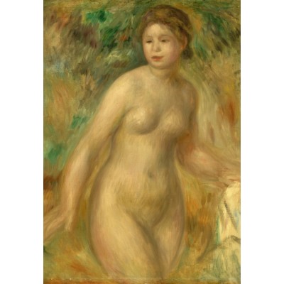 Puzzle Grafika-F-32143 Auguste Renoir : Nude, 1895