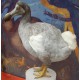Ballista - Dodo Reconstruction (Raphus cucullatus)